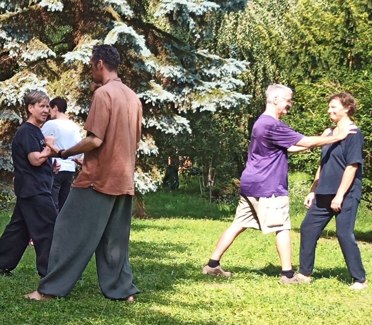 Taiji (Tai Chi)-Kurse in Berlin-Steglitz - weiteres Bild